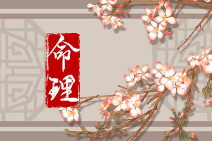 紫微宫免费查询 卦命盘 命盘全占星免费 查命盘紫微斗数 查看八字命盘 十二宫算命